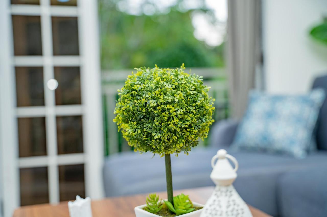 Paradise Breeze Apartment Misere Ngoại thất bức ảnh